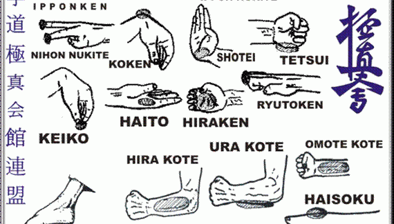 AS ARMAS DO KARATE KYOKUSHINKAIKAN