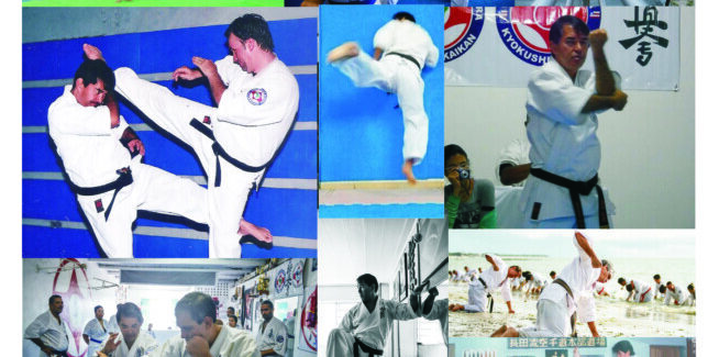 Curso em EAD Karate Kyokushinkaikan