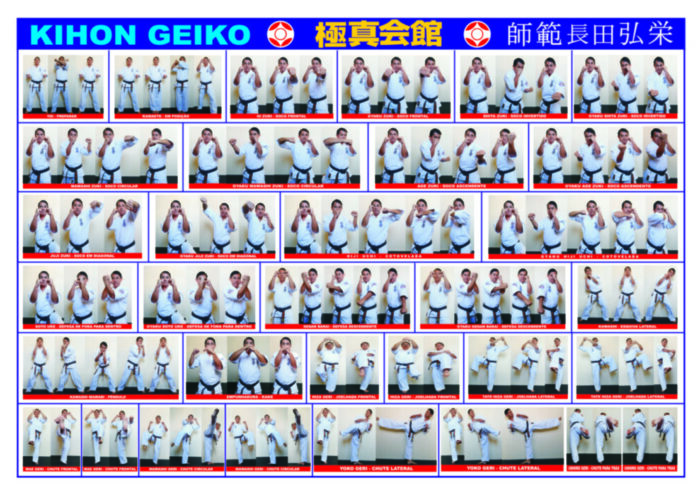 T cnicas E Treinamentos Kickboxing Kyokushinkaikan t-cnicas-e-treinamentos-kickboxing-kyokushinkaikan